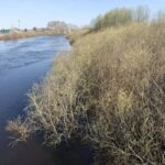 Контроль над водозащитными дамбами в Куйбышевском районе ведется квадрокоптерами