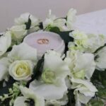 В Куйбышевском районе открыли сезон свадеб