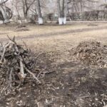 Глава Куйбышева призвал горожан принять участие в субботниках