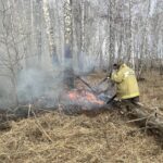 Камеры «Лесохранитель» обнаружили возгорания в Куйбышевском районе