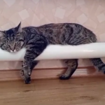 Горячую воду в Куйбышеве временно отключат