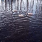 На дорогах Новосибирской области ликвидировано пять переливов воды