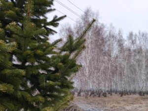 Синоптики предупреждает об ухудшении погоды в Новосибирской области 18 апреля