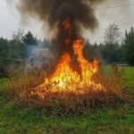 Куйбышевцев предупреждают: за сухостой на участке оштрафуют