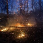 Комбайн и трава горели в Куйбышевском районе