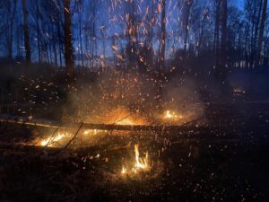 Комбайн и трава горели в Куйбышевском районе