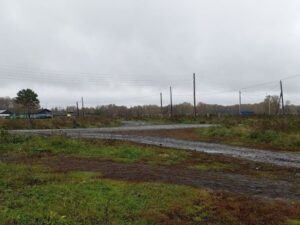 Господдержку на доставку товаров в сёла Новосибирской области получат торговые предприятия