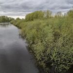 Дамбы в черте Куйбышева обследуют каждые два часа