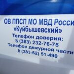 Стрельба произошла на улице в Куйбышеве Новосибирской области