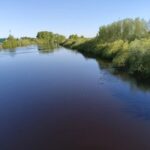 Жители Куйбышева помогают контролировать ситуацию с подъемом воды в реке Омь