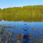 Население в Куйбышевском районе предупредили об опасности рыбалки на разливах