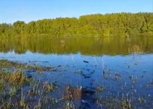 Население в Куйбышевском районе предупредили об опасности рыбалки на разливах