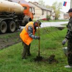 60 саженцев декоративной сливы высадили на улице Партизанская в Куйбышеве