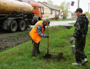 60 саженцев декоративной сливы высадили на улице Партизанская в Куйбышеве