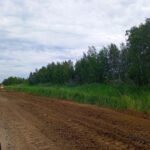 Три километра дороги «Барабинск – Зюзя – Квашнино» в Новосибирской области асфальтируют в этом году