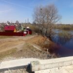 Уровень воды в реке Омь в черте Куйбышева достиг максимума