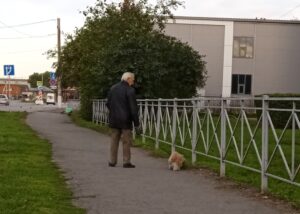Работающие пенсионеры Новосибирской области в августе получат пенсию в новом размере