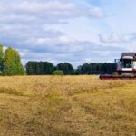 Почти 30 комбайнов собирают урожай на полях Куйбышевского района