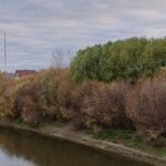 Из-за ситуации с медведями в Куйбышевском районе введён режим повышенной готовности