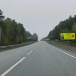 В ДТП на дорогах Новосибирской области с начала года погибло 117 животных