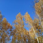 Тепло уходит с территории Новосибирской области