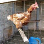 Более 56 тысяч социальных контрактов заключено в Новосибирской области